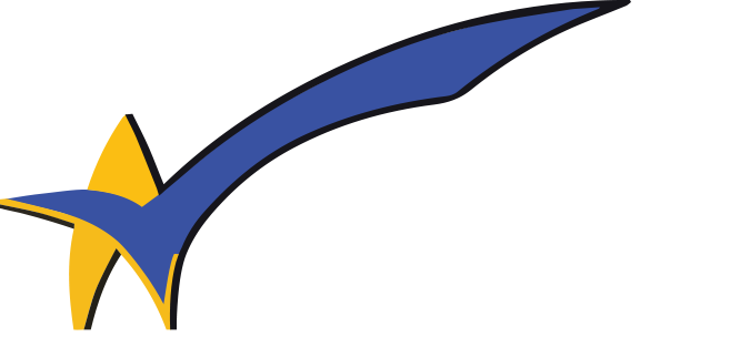 Star Solutions Consulting Logo